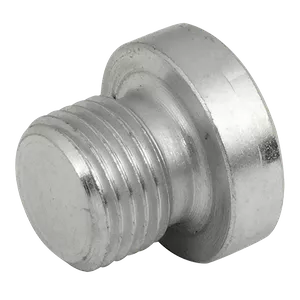 BSP SOCKET HEAD PLUG WITHOUT SEAL"