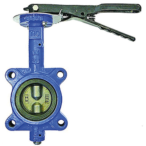 Lugged & Tapped Butterfly Valve"